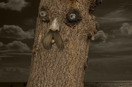 Creation of Mr. Olderwood: Step 10